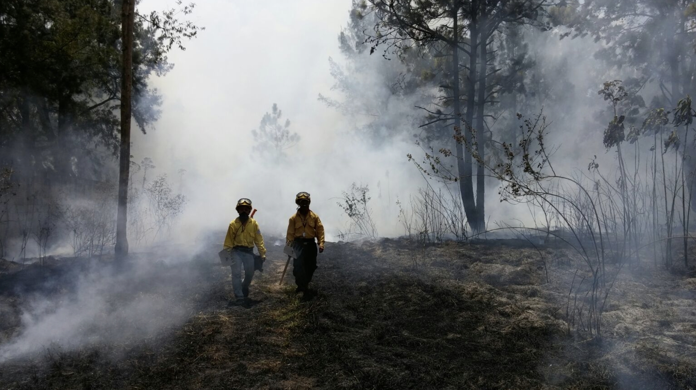 Conap conmemora el Día Internacional del Combatiente de Incendios Forestales. (Foto:Conap)