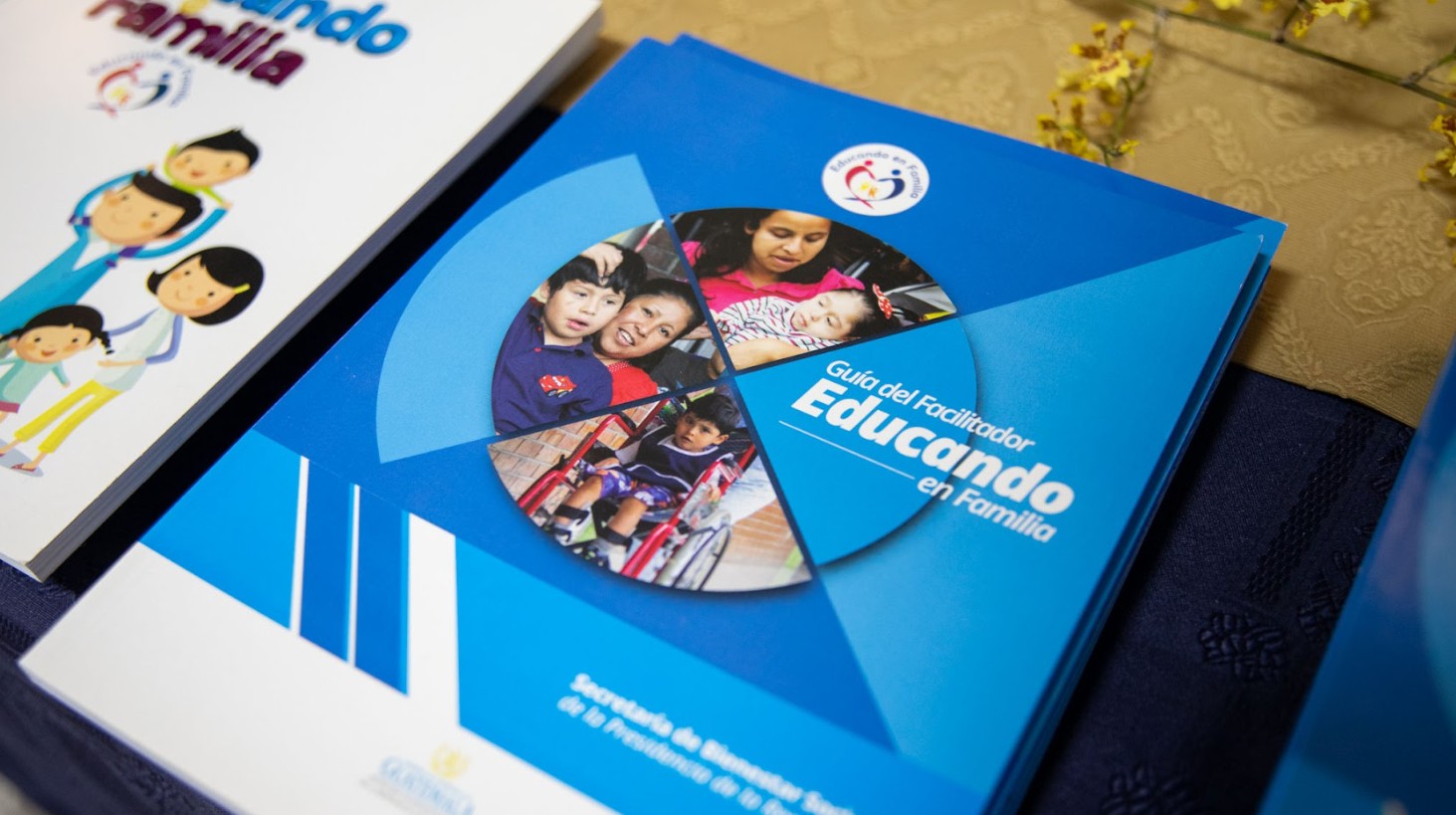 Alta Verapaz fortalece capacidades institucionales con taller del programa Educando en Familia