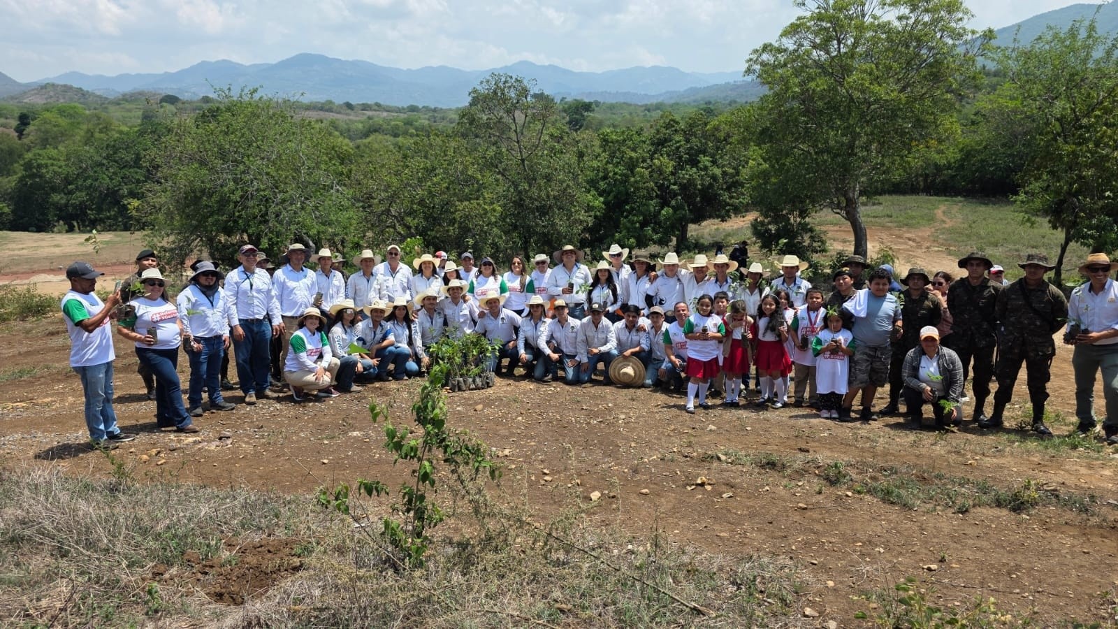 Programa Sembrando Huella desarrolla cerca de 715 jornadas de reforestación a nivel nacional
