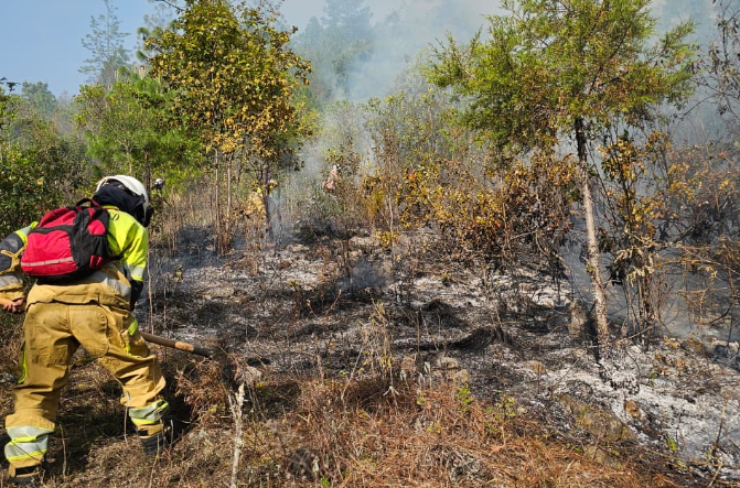 Temporada de incendios 2026 ya registra más de mil 300 incendios./Foto: Conred.