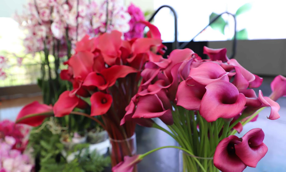 Día de la Madre eleva hasta 10 % las exportaciones de flores