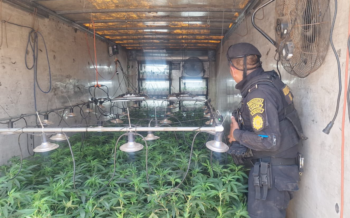 Localizan furgones utilizados para cultivar marihuana. / Foto: PNC.