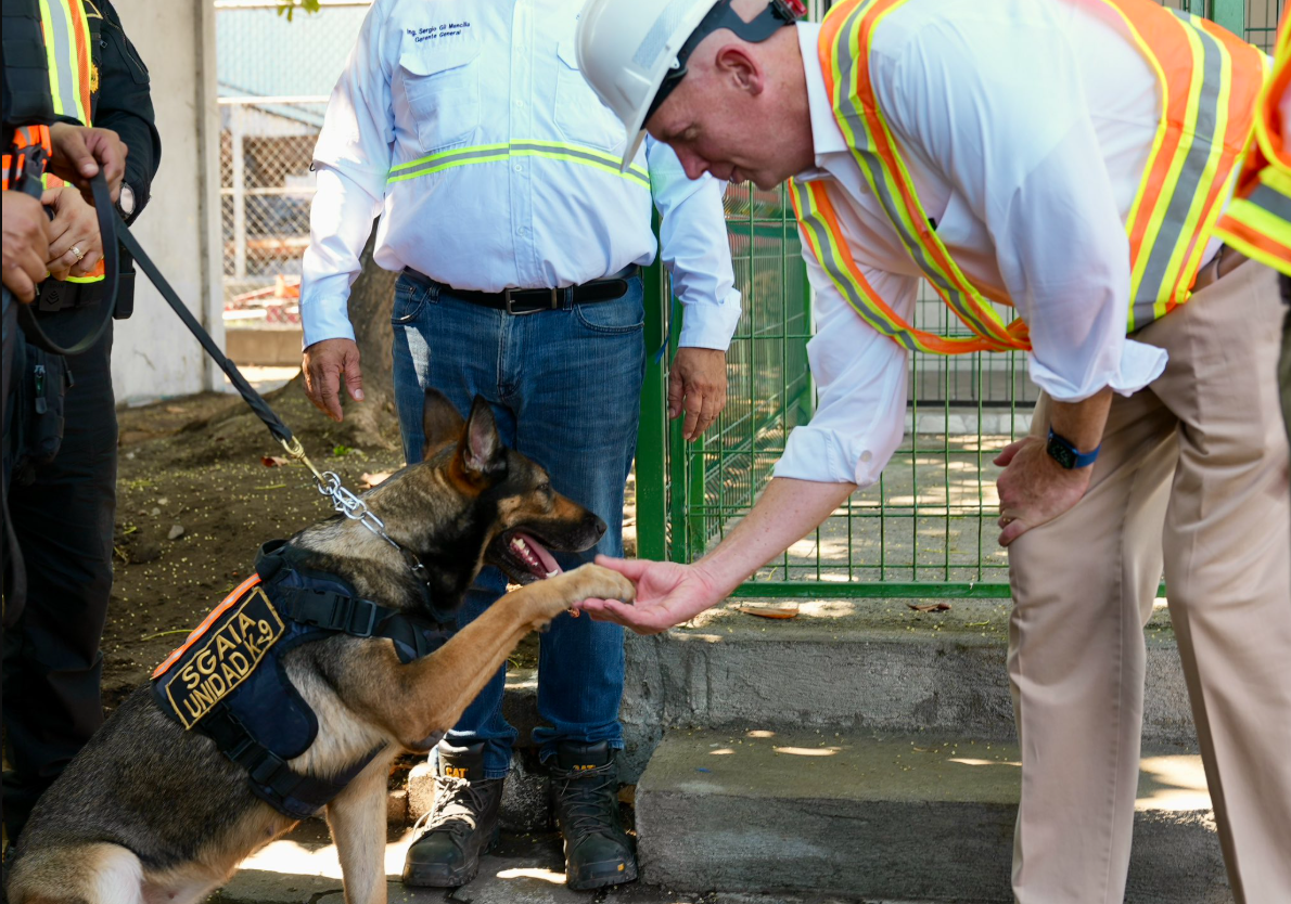 Estos canes cumplen una función irremplazable, ya que su capacidad olfativa permite detectar narcóticos y contrabando. / Foto: Embajada
