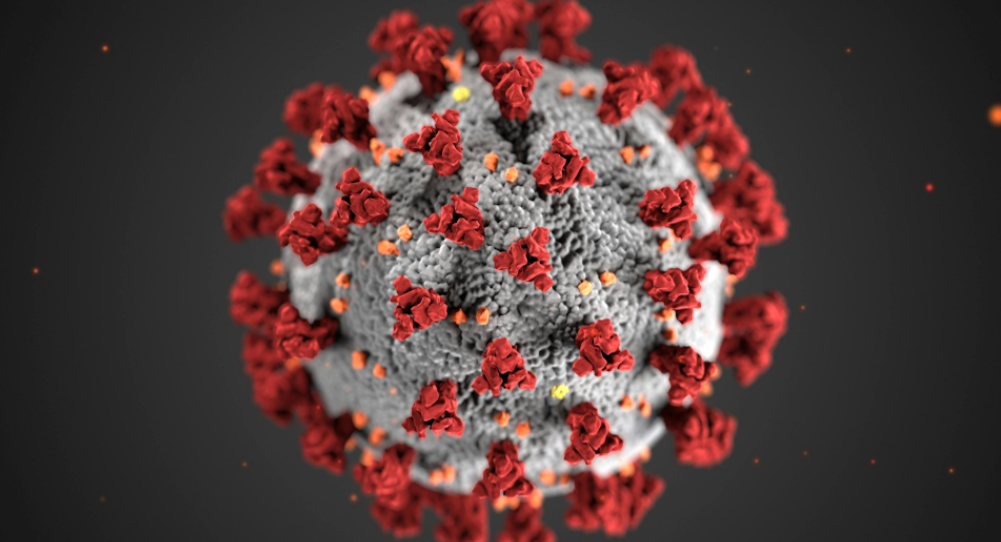Guatemala no tiene registros de hantavirus en personas desde hace 10 años