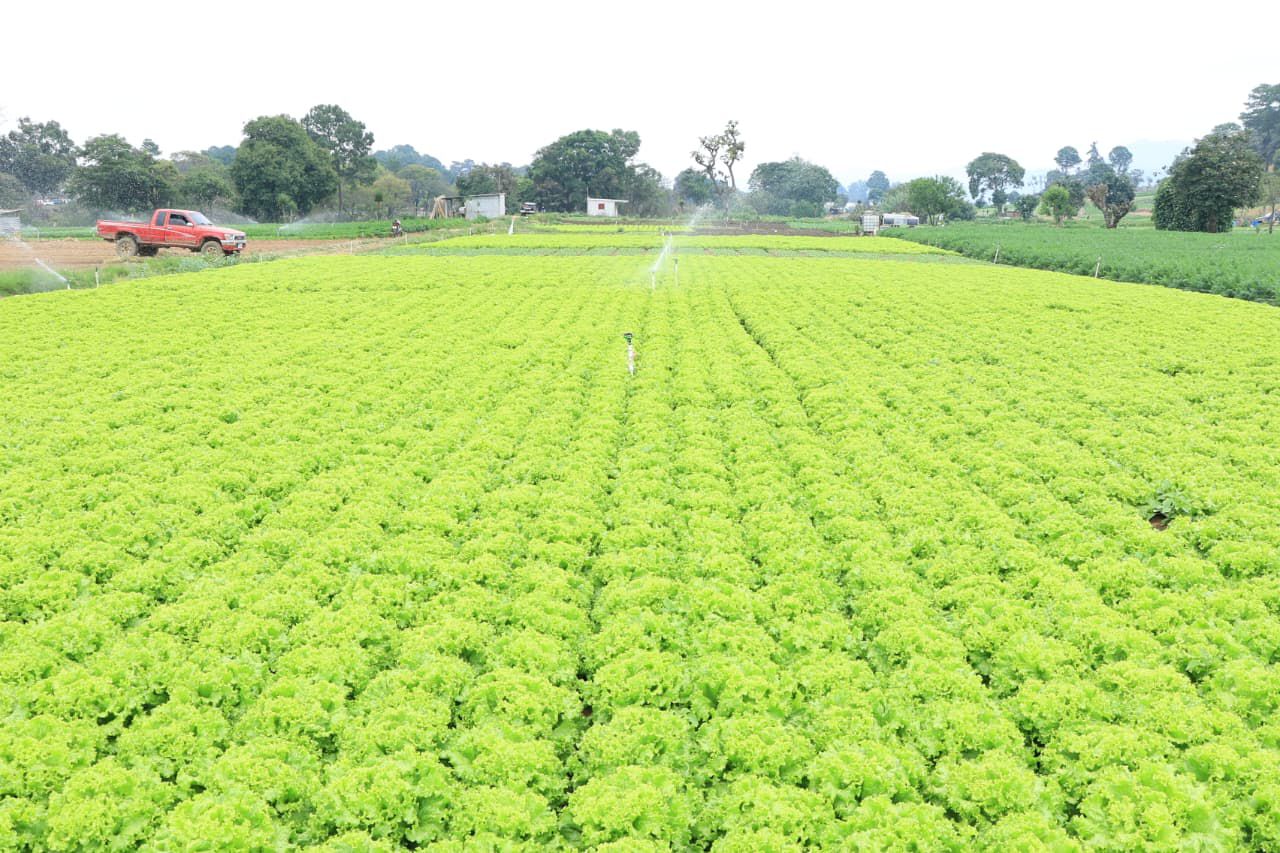 MAGA oficializa Política Sectorial Agropecuaria 2026-2032 para transformar el campo guatemalteco