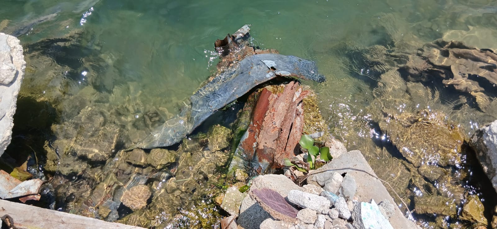 MARN alerta sobre relleno de ripio en orillas del lago Petén Itzá