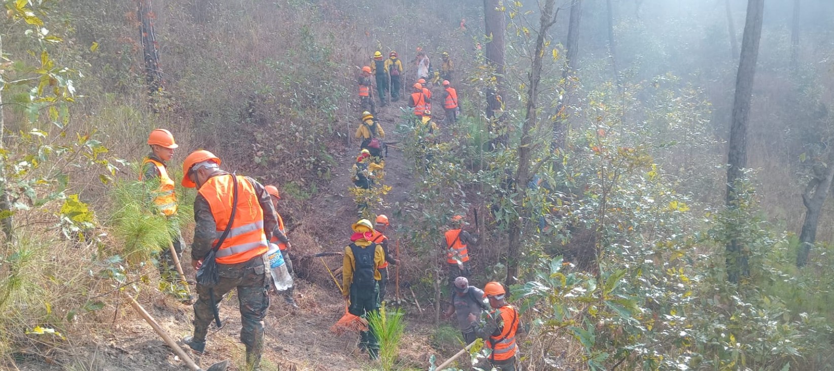 Autoridades departamentales de Zacapa buscan fortalecer prevención de incendios forestales