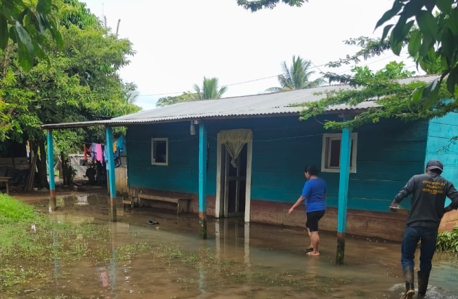 viviendas afectadas por inundación registrada en barrio Petencito, Fray Bartolomé de las Casas, Alta Verapaz.