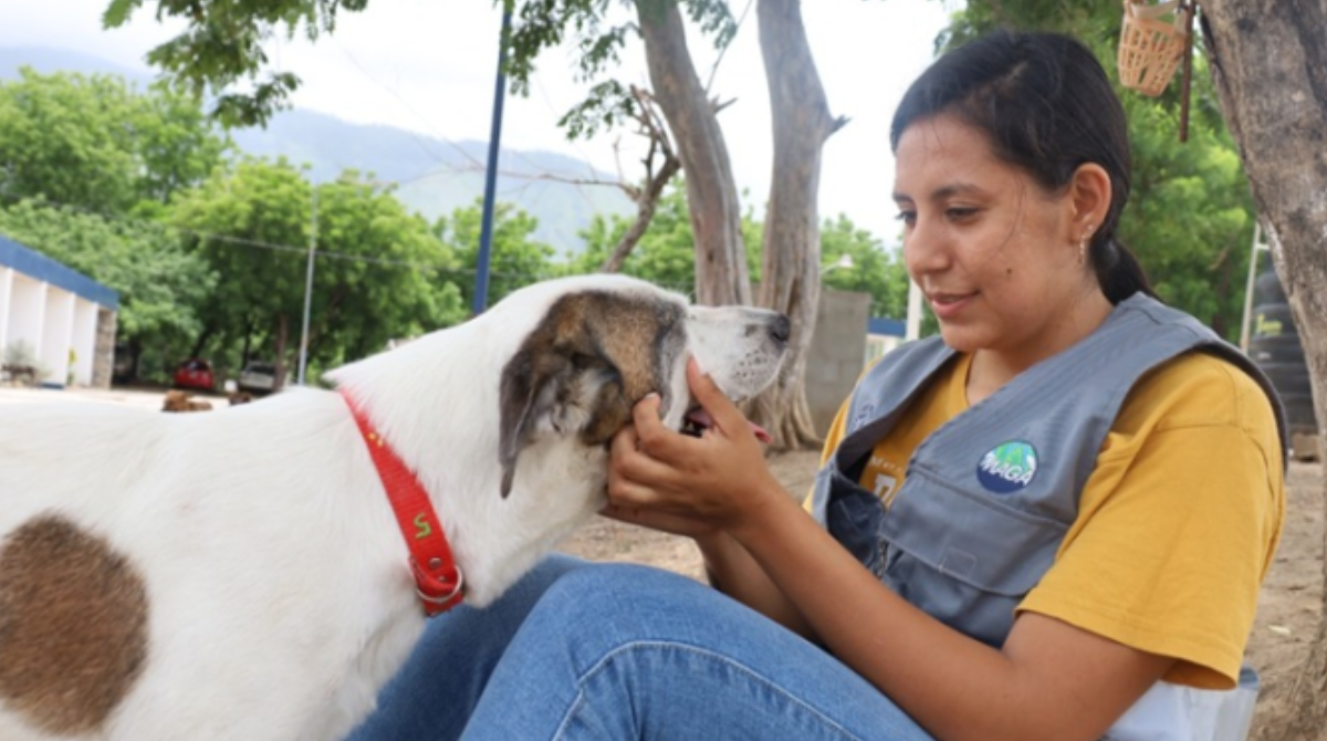MAGA promueve la adopción responsable de perros y gatos mediante asociaciones registradas