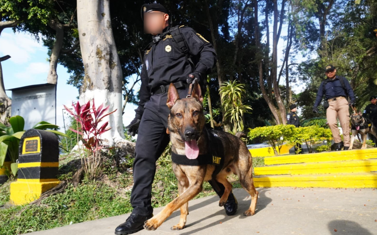 Cooperación internacional fortalece capacidades K9 de la PNC para combatir narcotráfico y detectar fentanilo
