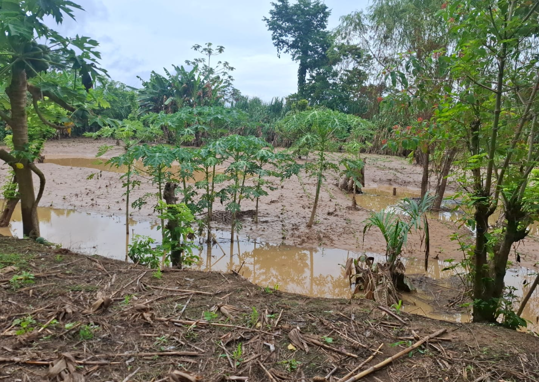 Sistema Conred atiende emergencias causadas por lluvias en el interior del país