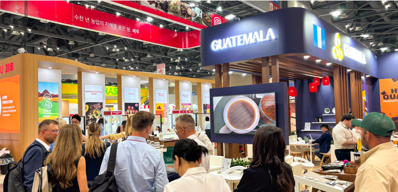 Concluye la participación de empresarios guatemaltecos en Seoul Food & Hotel 2026