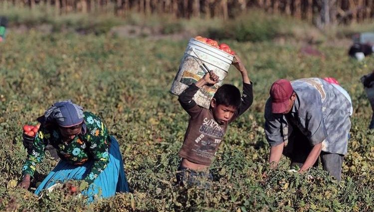 Mintrab celebra la reducción del 20 % del trabajo infantil en el Día Mundial contra el Trabajo Infantil